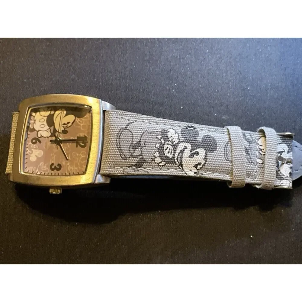 Disney parks limited